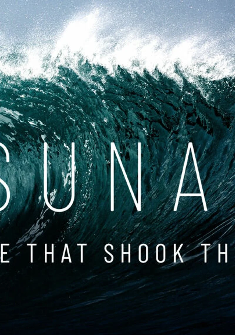 Poster van Tsunami: The Wave That Shocked The World
