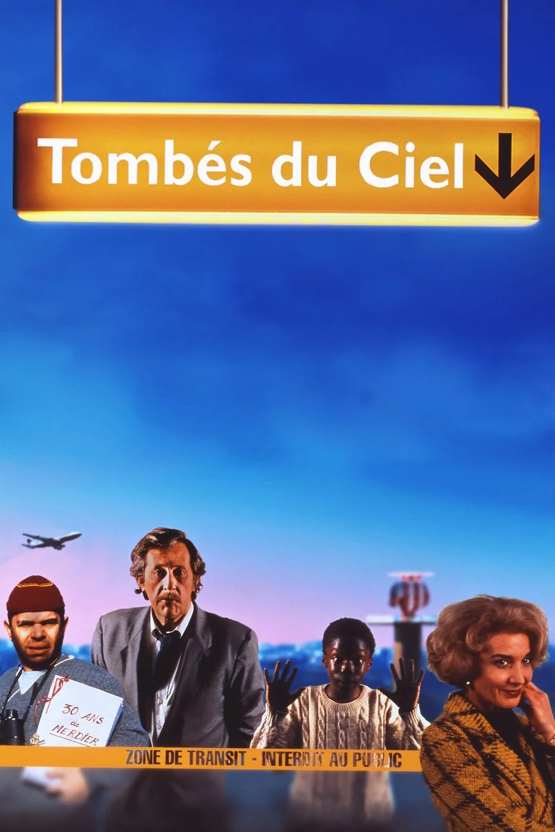 Affiche de Tombés du ciel (1993)