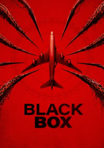 Poster Black Box (Flight 298)