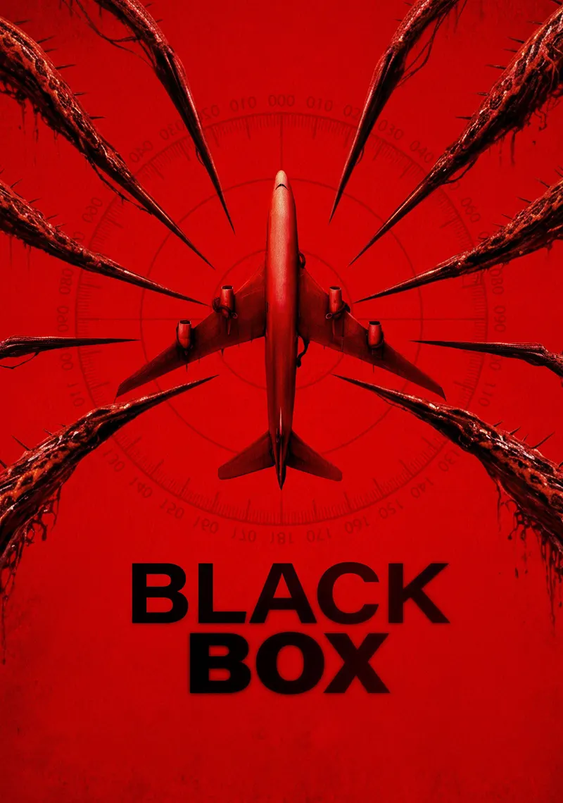 Poster van Black Box (Flight 298)