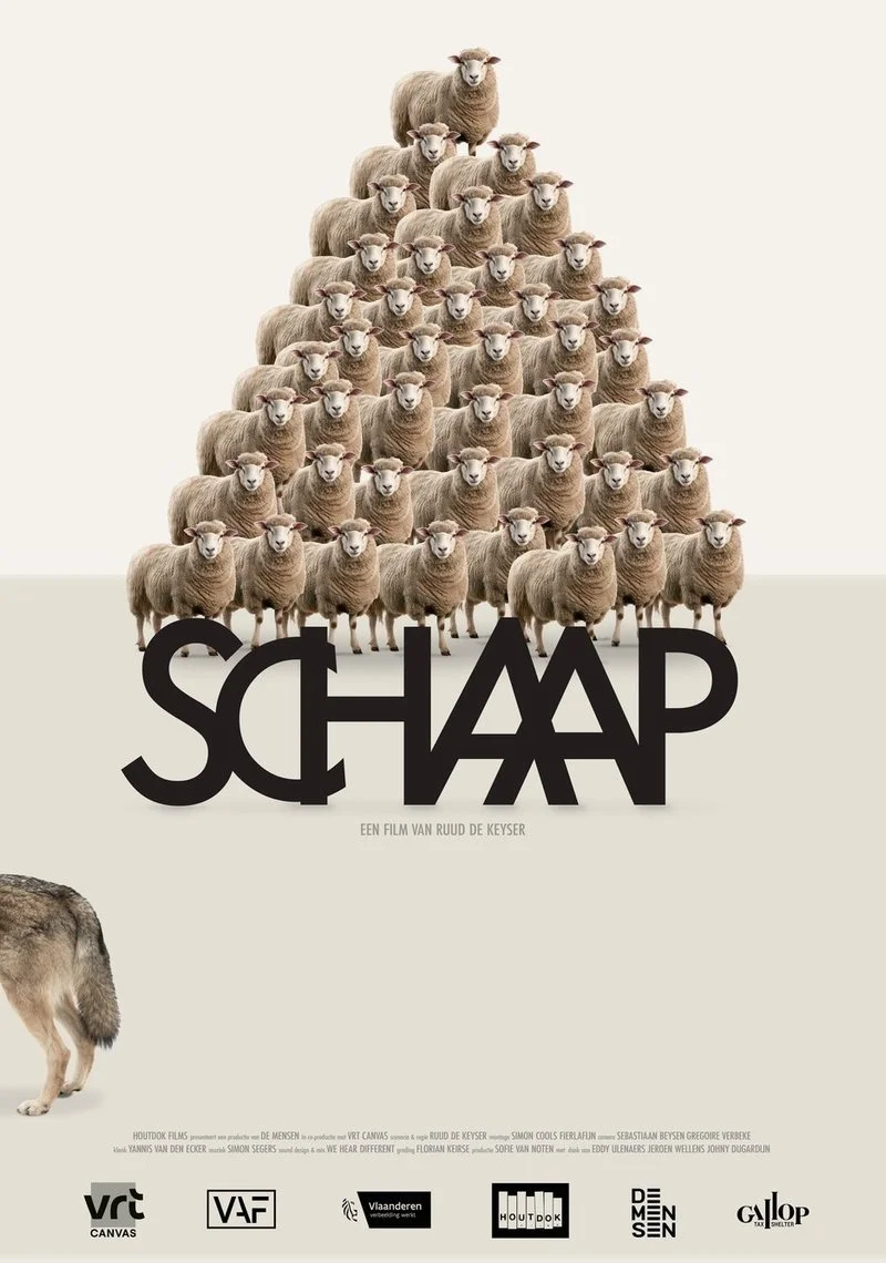 Poster van Schaap
