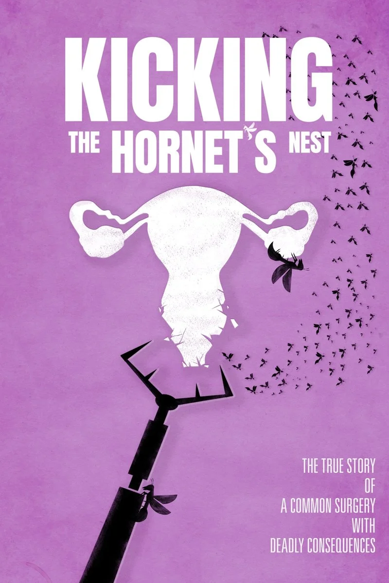 Poster van Kicking the Hornet's Nest