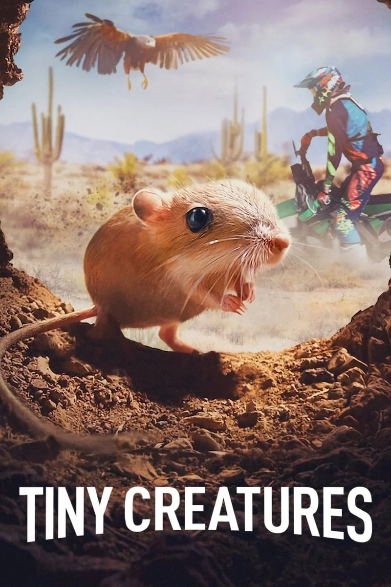 Poster van Tiny Creatures