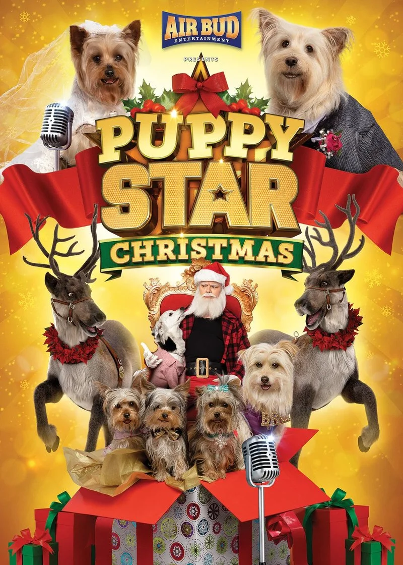 Poster van Puppy Star Christmas