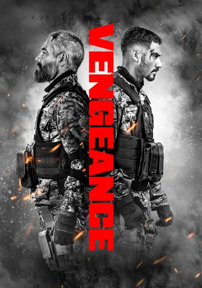 Affiche Vengeance