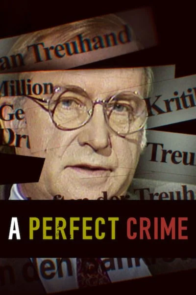 Poster A Perfect Crime