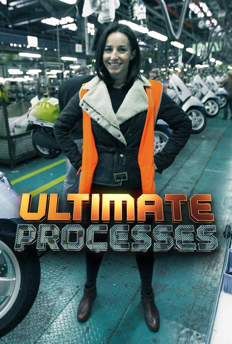 Poster van Ultimate Processes