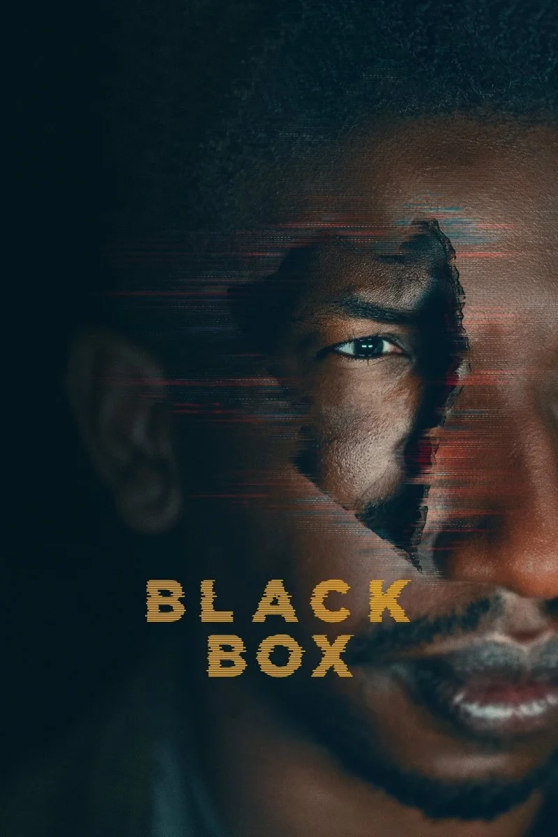 Affiche de La Black Box