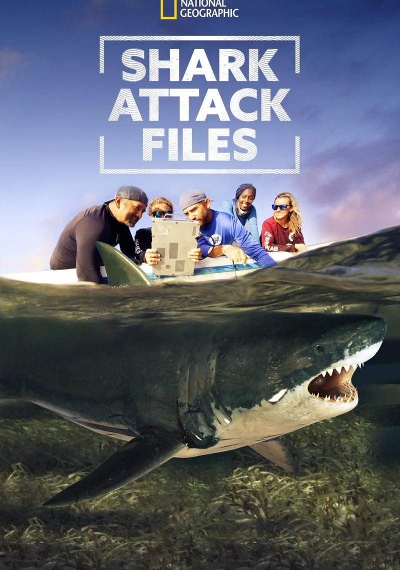 Affiche de Shark Attack Files