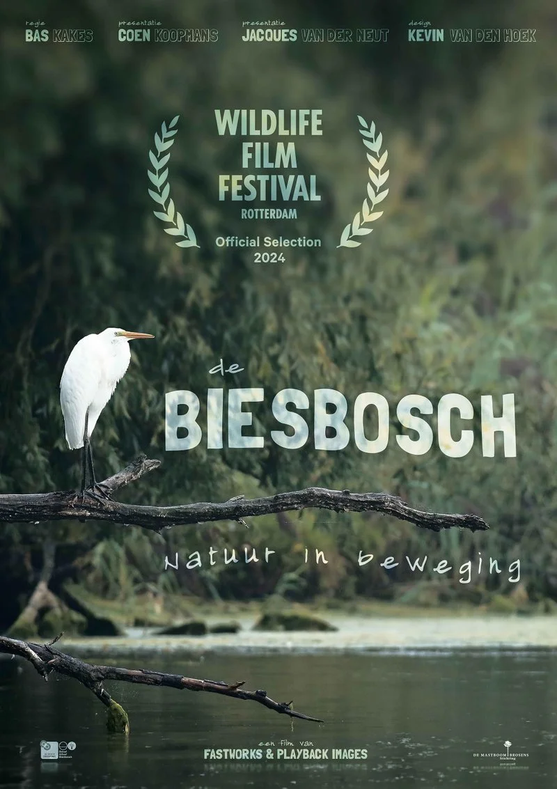 Poster van De Biesbosch: Natuur in beweging