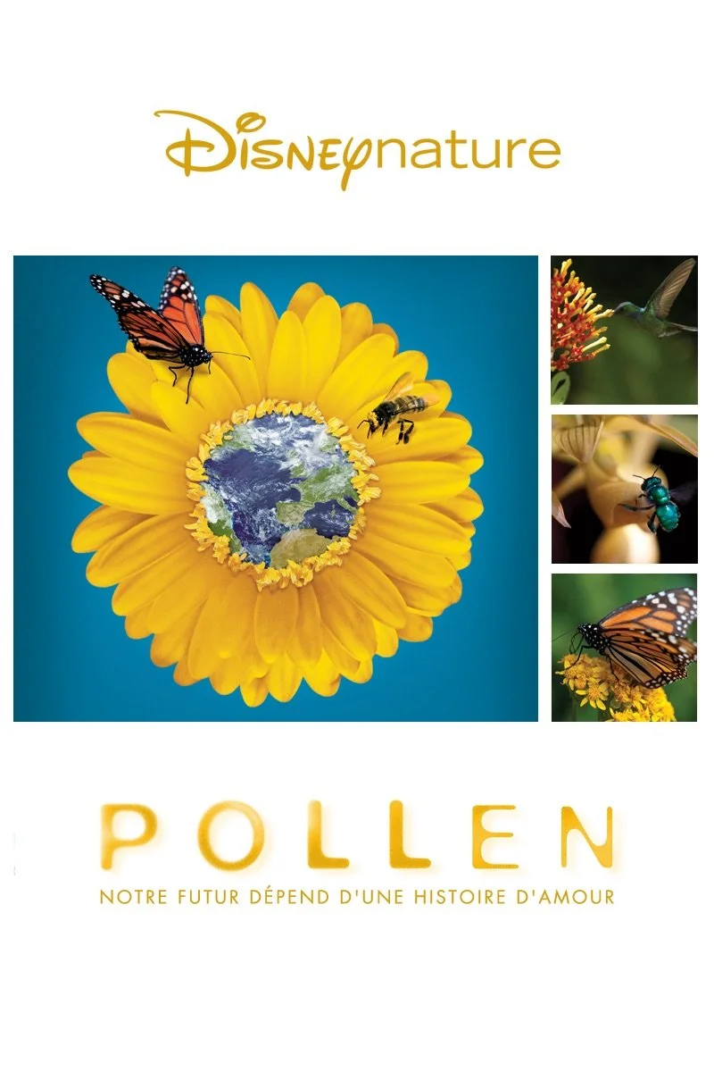 Poster van Pollen