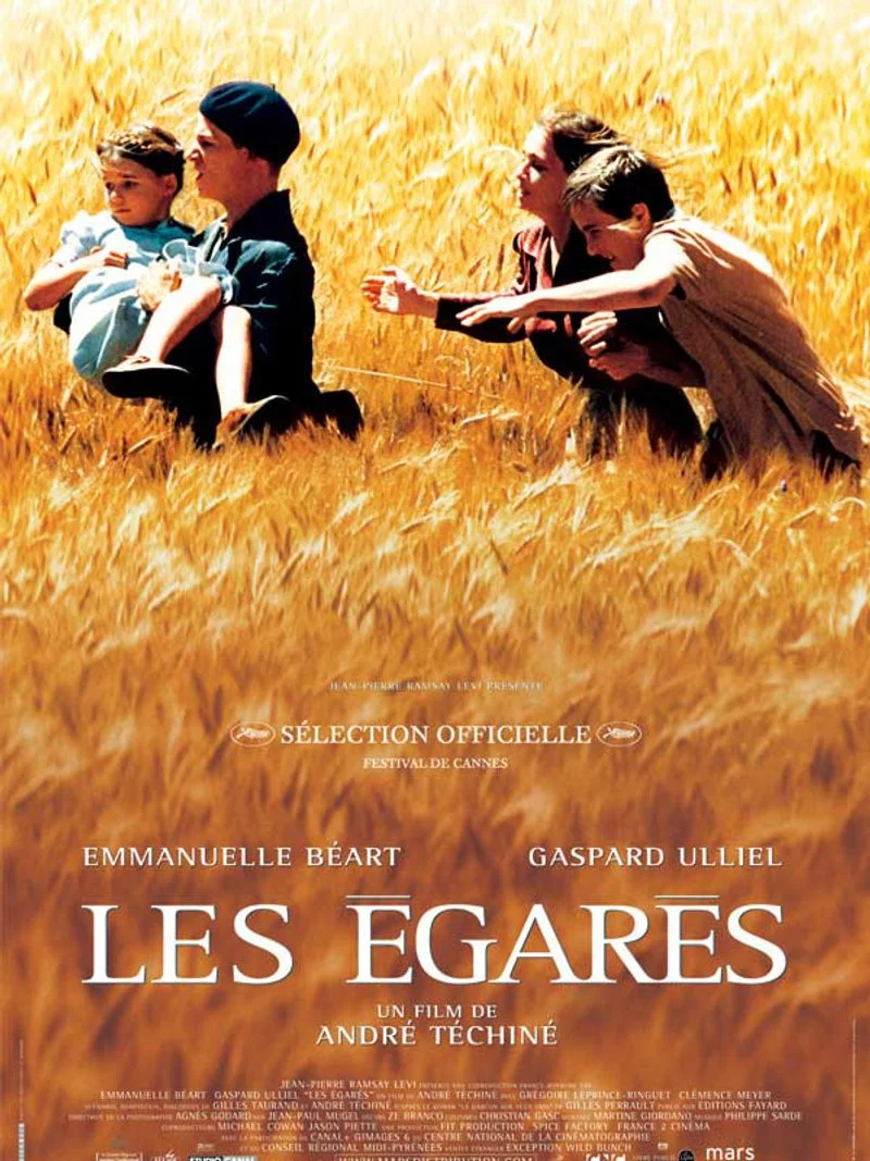 Affiche de Strayed