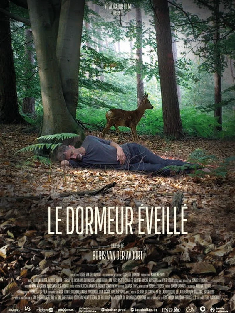Affiche de The wakeful sleeper