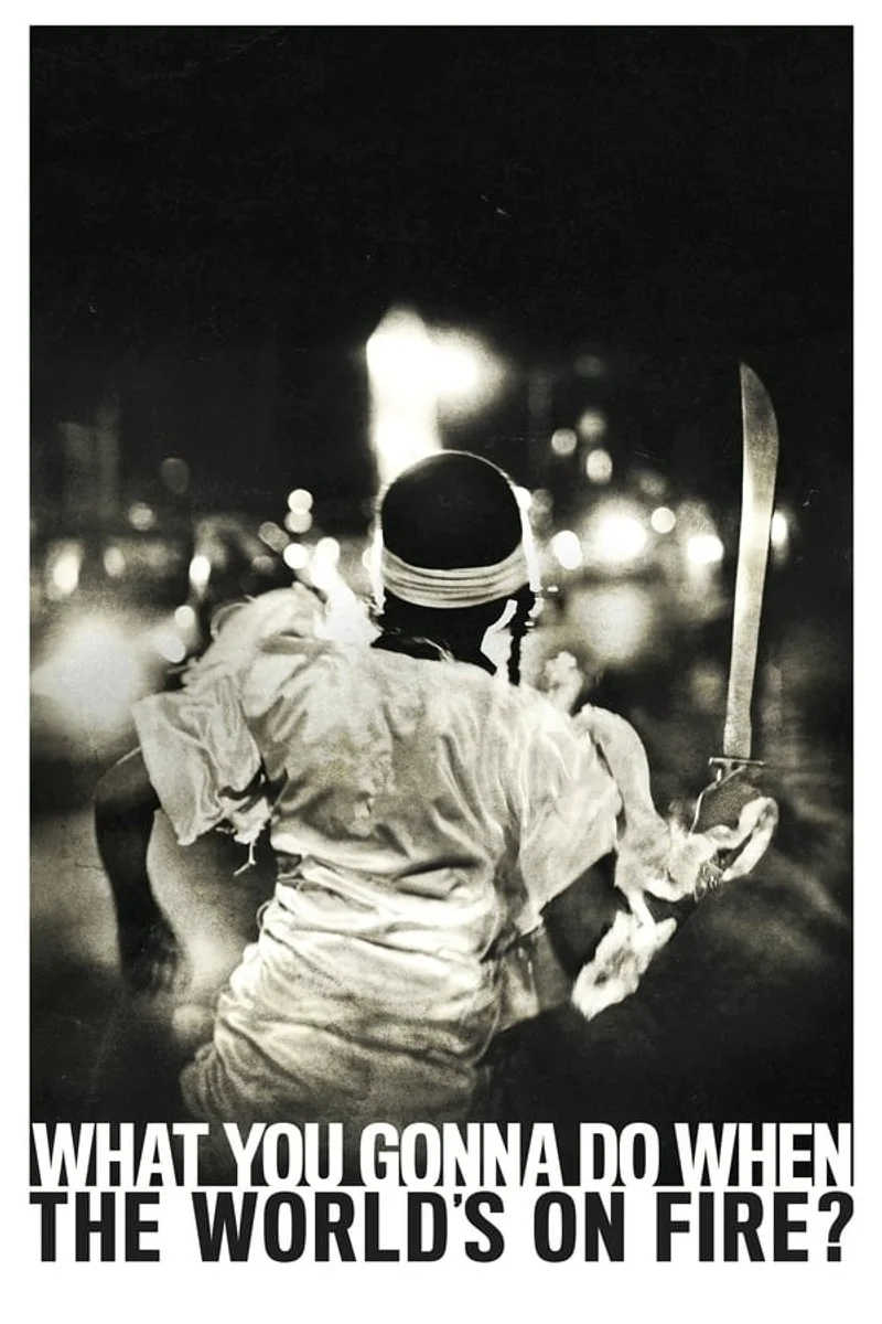 Affiche de What You Gonna Do When the World's on Fire?