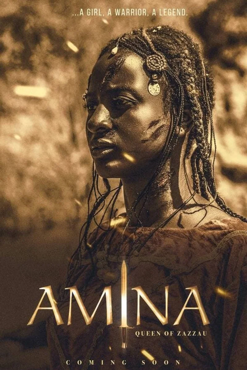 Poster van Amina