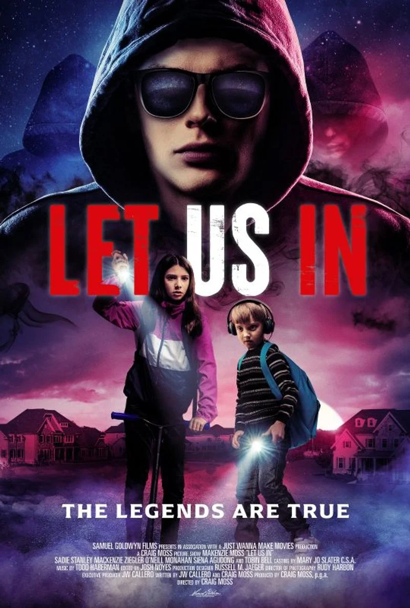 Affiche de Let Us In