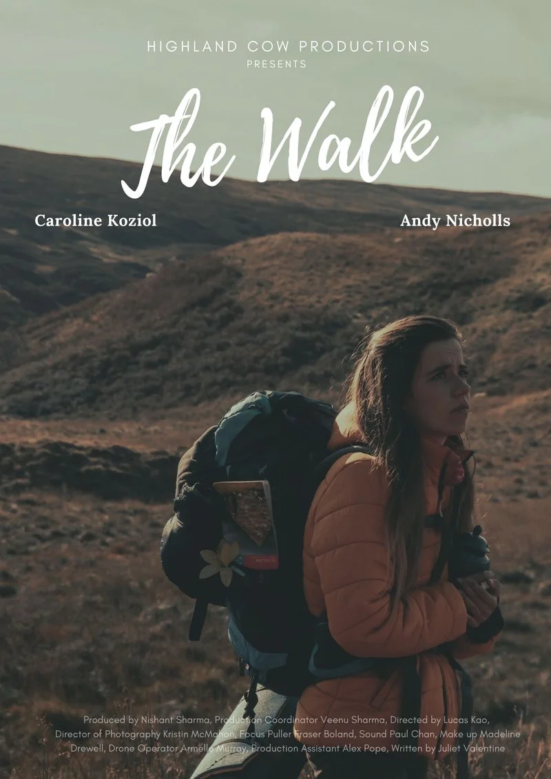 Poster van The Walk