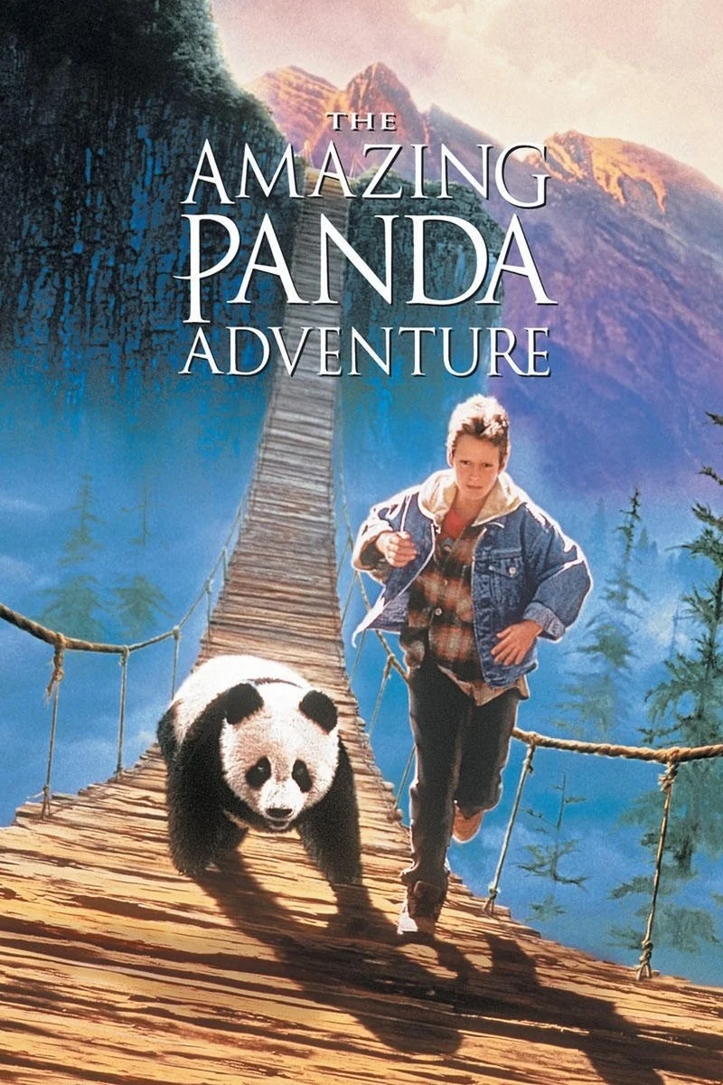 Affiche de The Amazing Panda Adventure