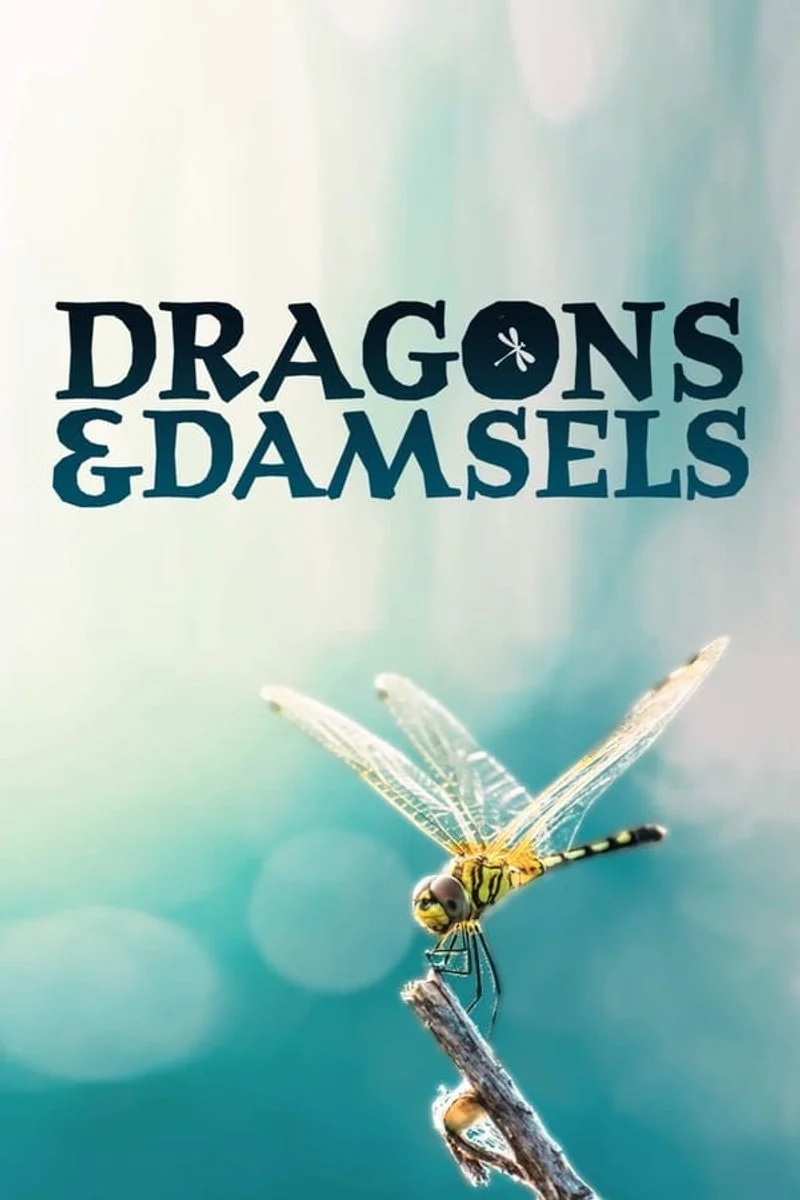 Poster van Dragons and Damsels