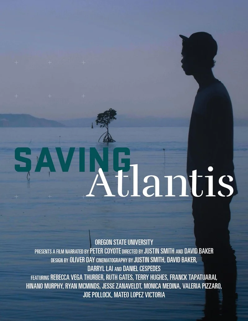 Affiche de Saving Atlantis