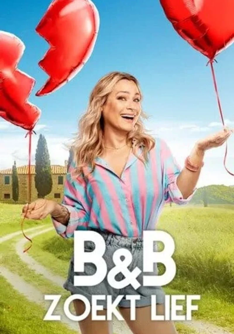 Poster van B&B zoekt Lief