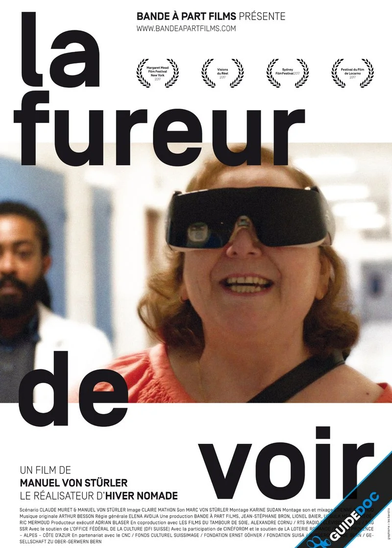 Poster van La Fureur de Voir