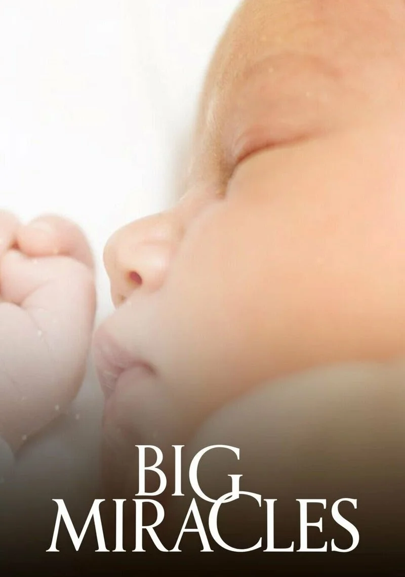 Affiche de Big Miracles