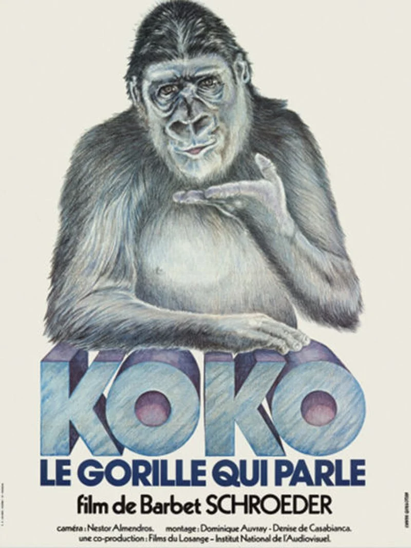 Affiche de Koko, le gorille qui parle