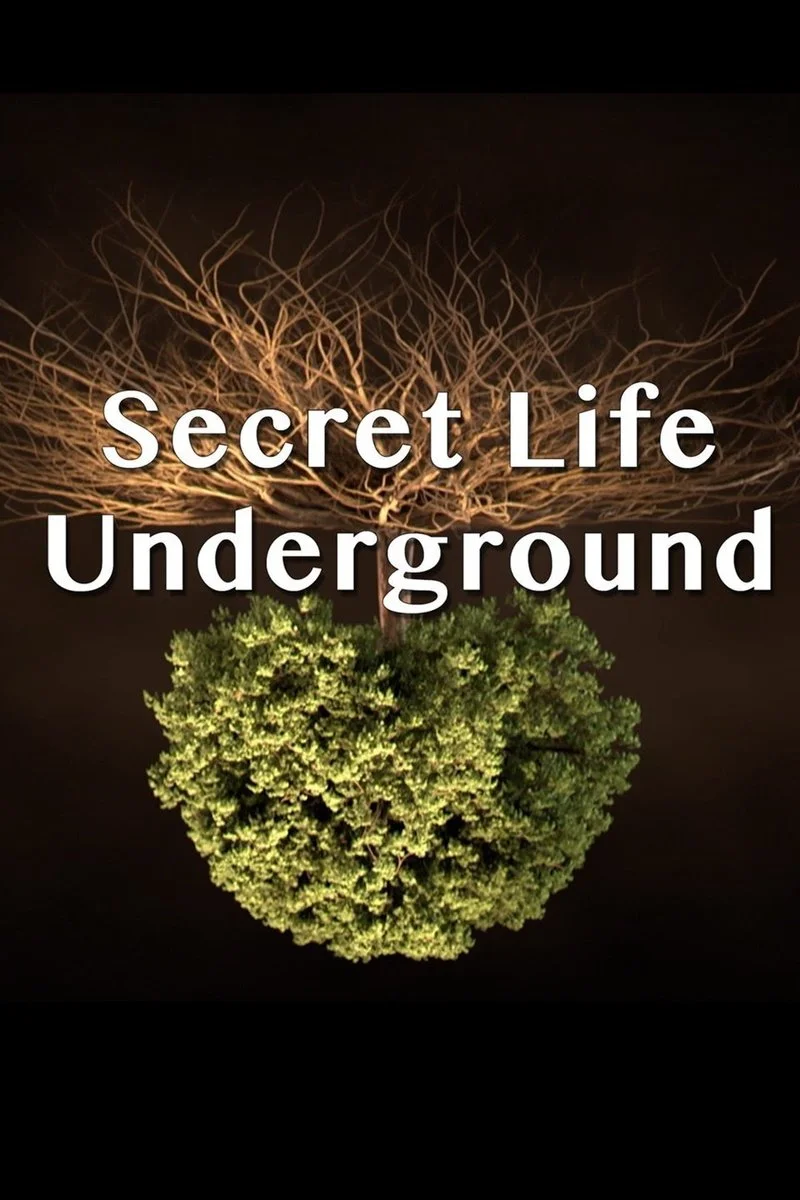 Poster van Secret Life Underground