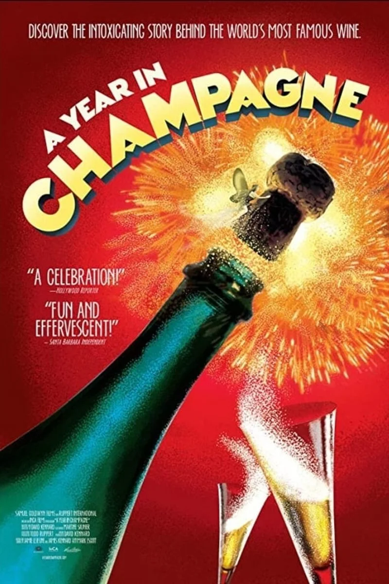 Affiche de A Year in Champagne