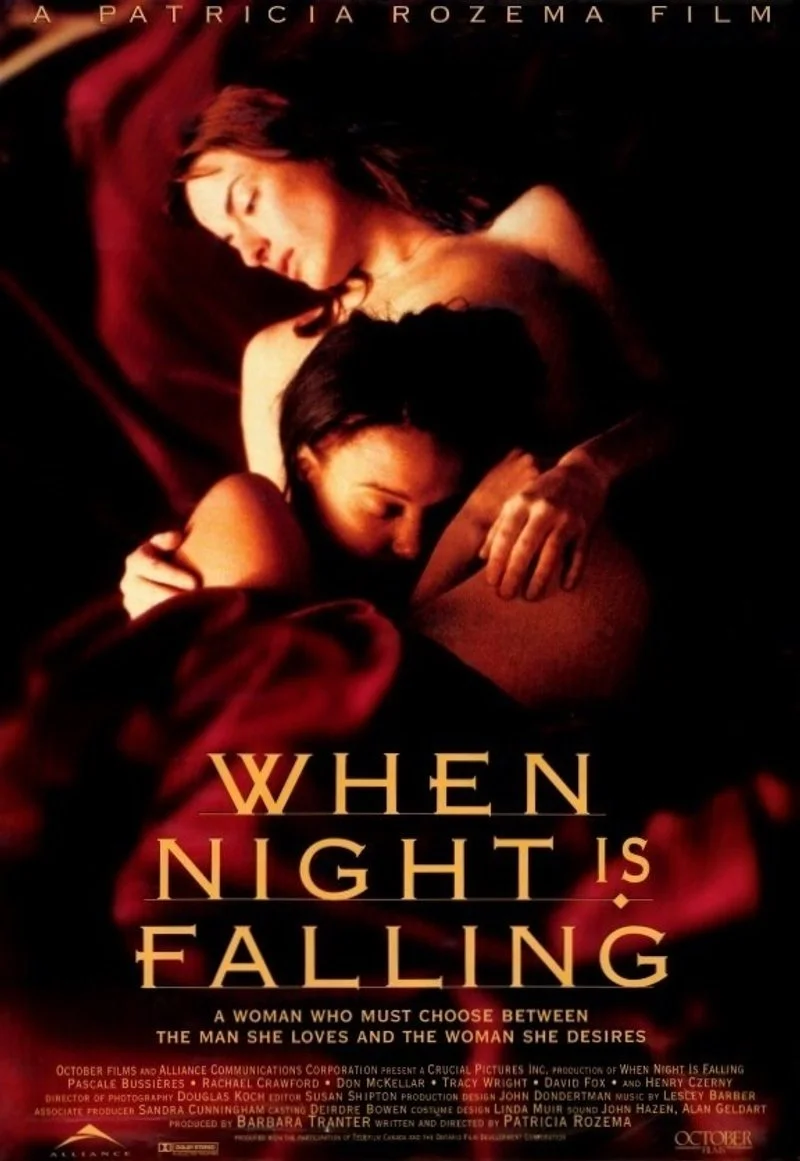 Affiche de When Night Is Falling