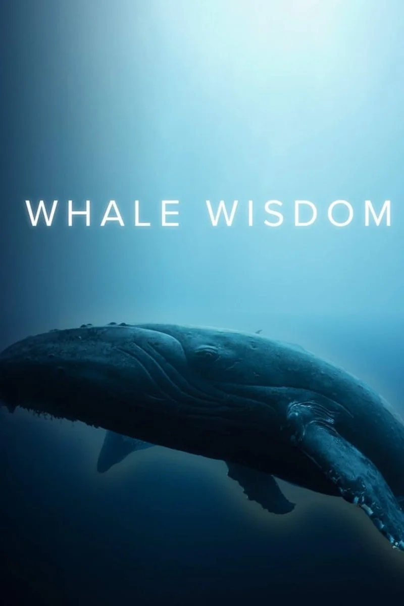 Affiche de Whale Wisdom