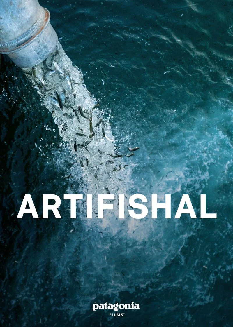 Affiche de Artifishal