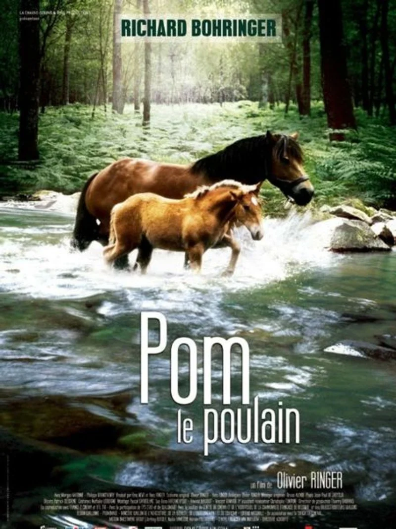 Affiche de Pom, le poulain
