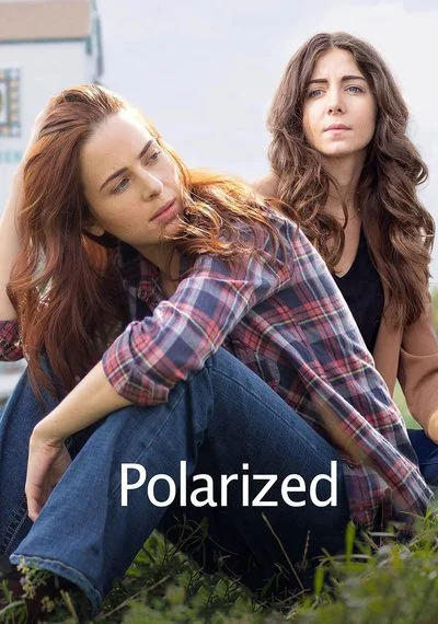 Poster Polarized