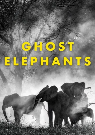 Poster Ghost Elephants
