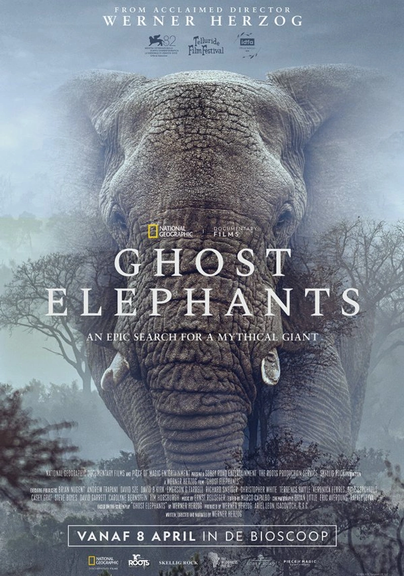 Poster van Ghost Elephants