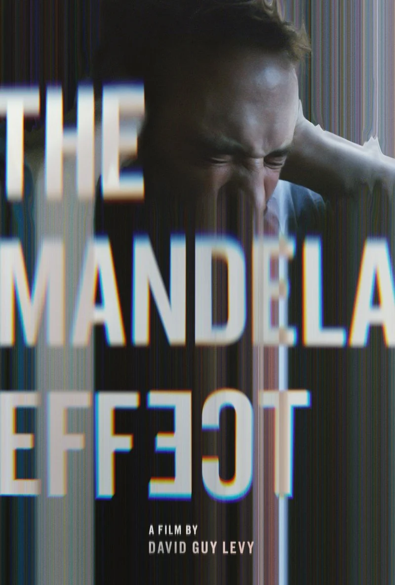 Poster van The Mandela Effect