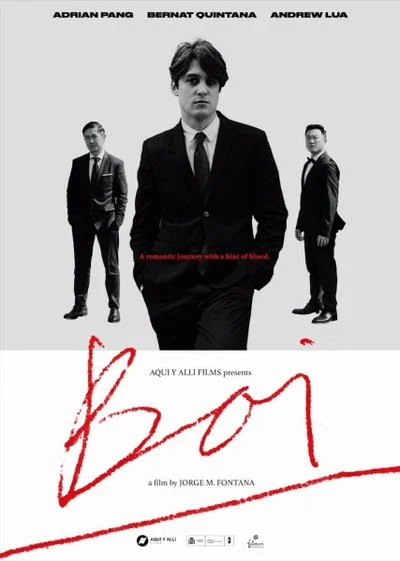 Affiche Boi