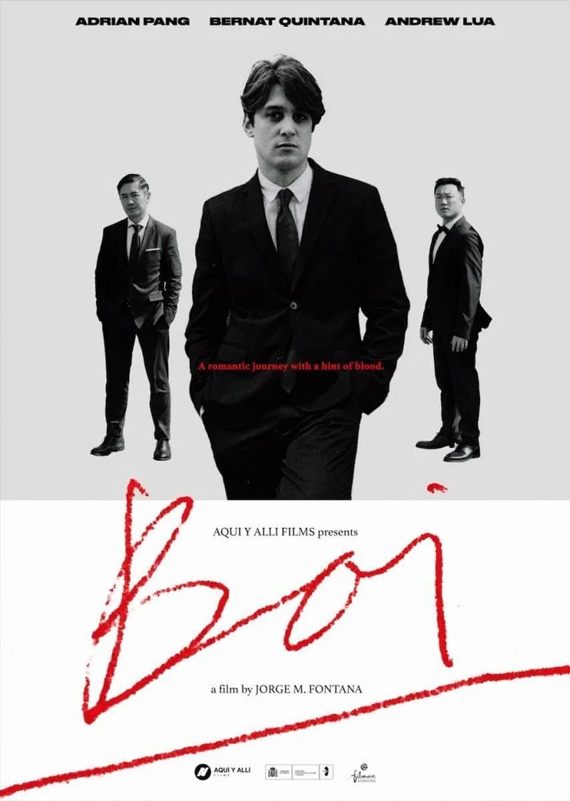 Affiche de Boi