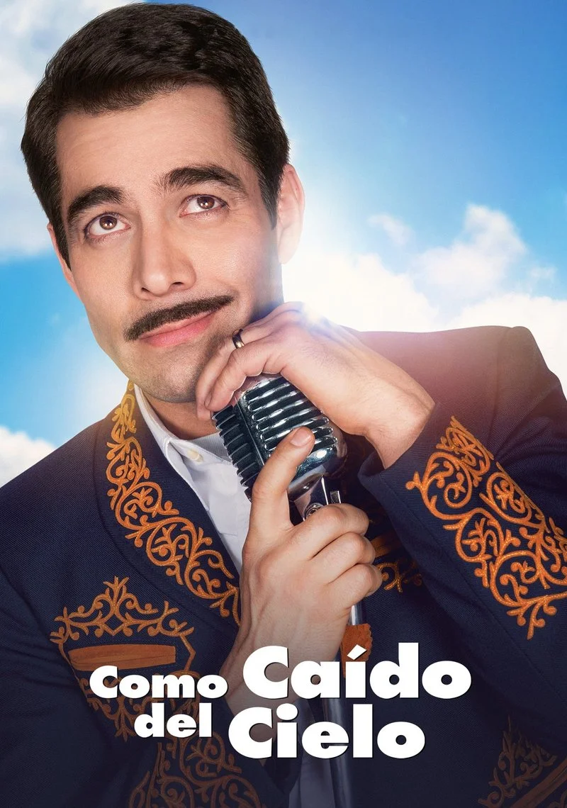 Affiche de Como caído del cielo