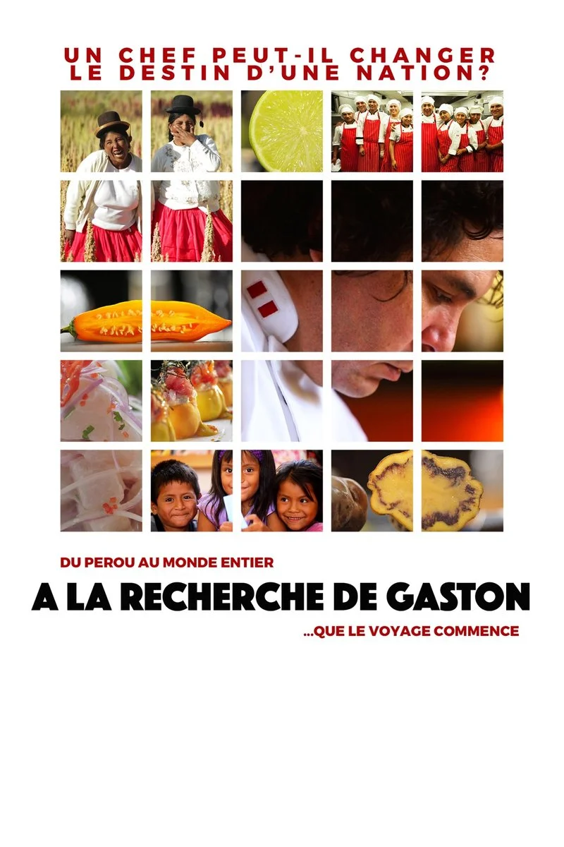 Poster van Finding Gastón