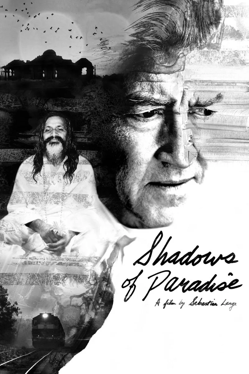 Affiche de Ombre du Paradis