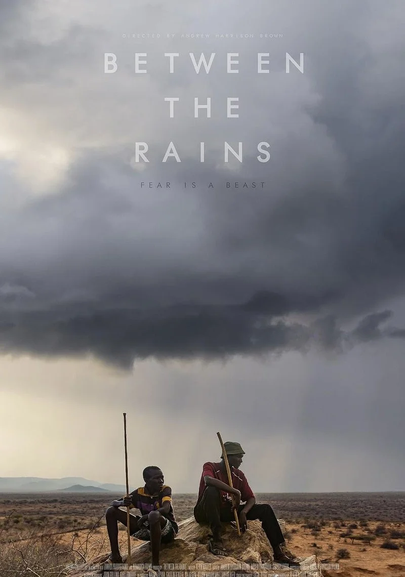 Affiche de Between the Rains