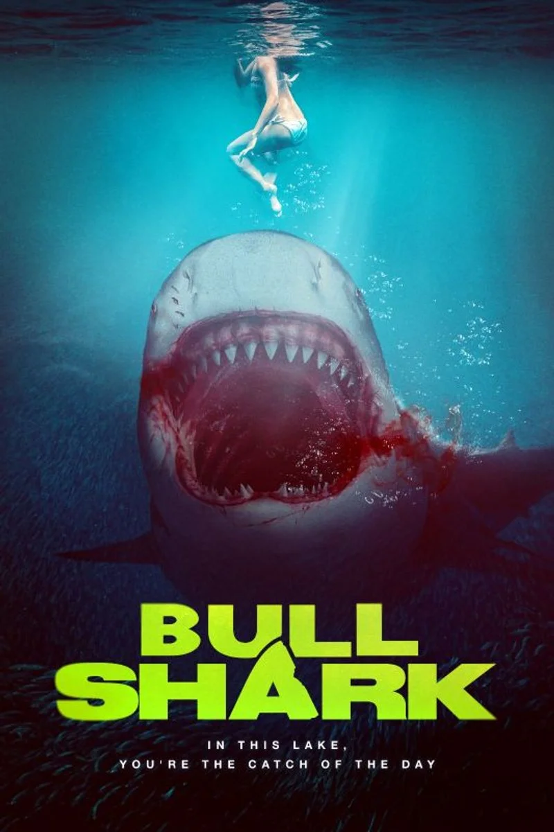 Affiche de Bull Shark