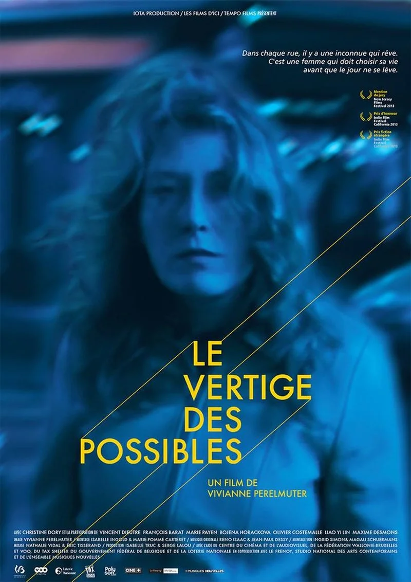 Affiche de Le Vertige des possibles