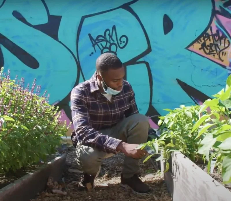 Poster van Urban Farming