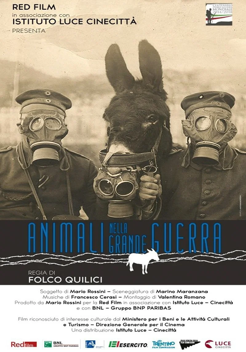Affiche de Les Animaux de la Grande Guerre