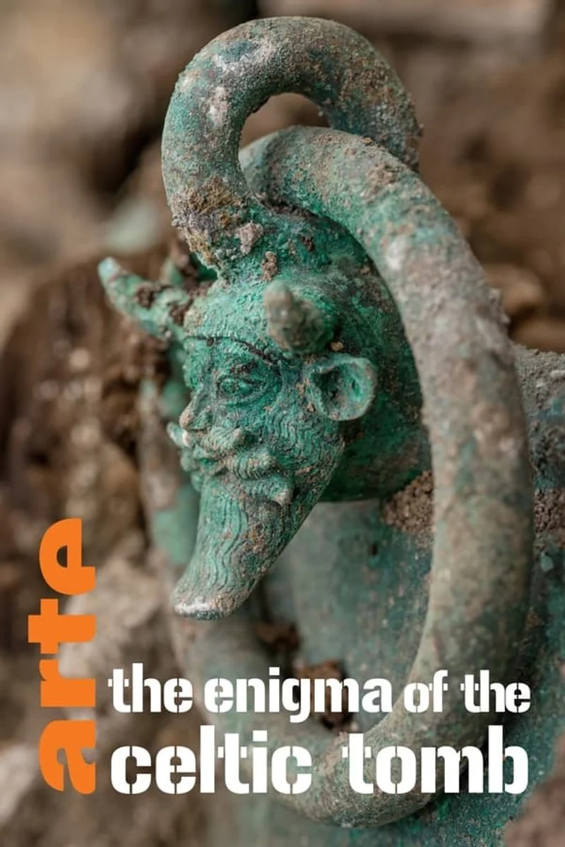 Poster van The Enigma of the Celtic Tomb