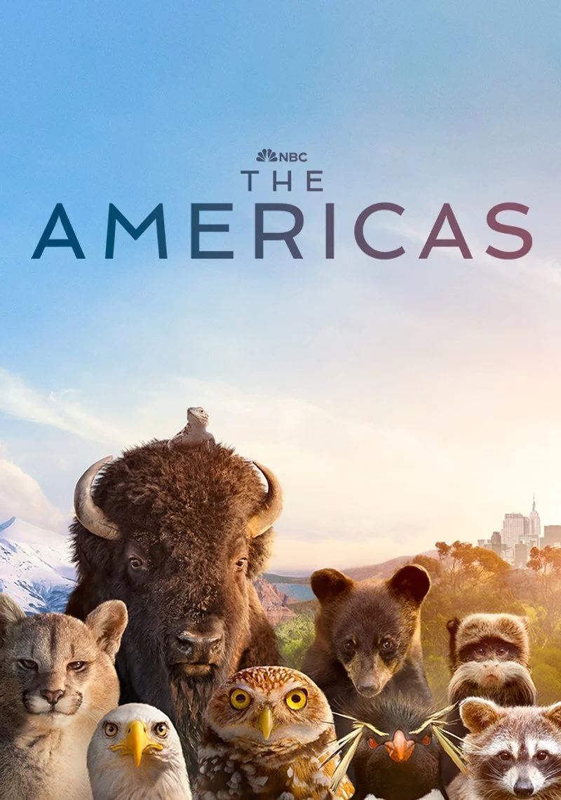 Affiche de The Americas